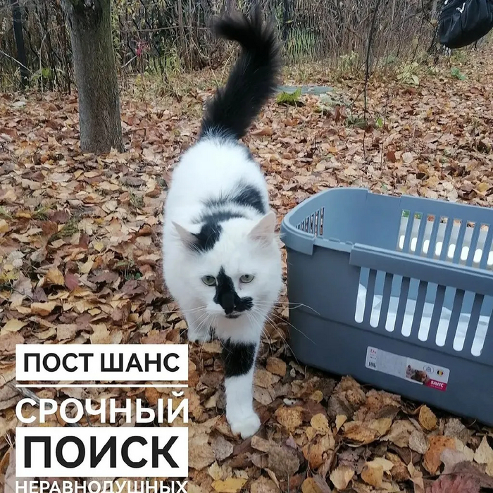 Гитлер в Подольске