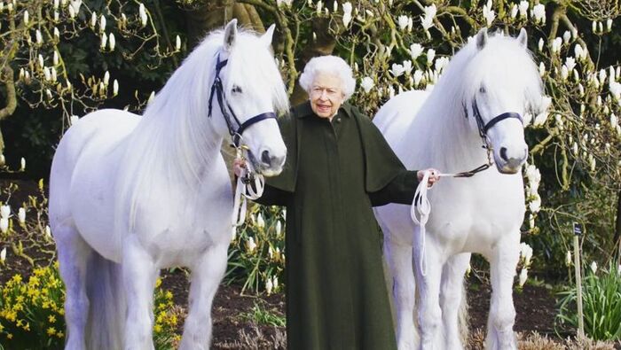 Карл III заработал более 1 млн, продав лошадей королевы Елизаветы
