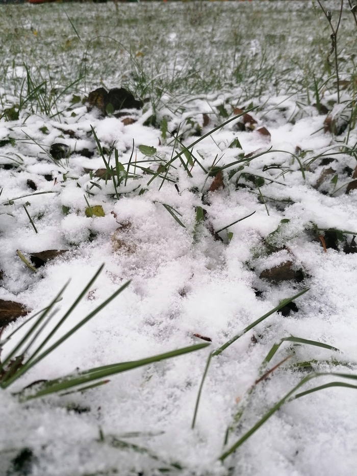 Москва, понеслось!