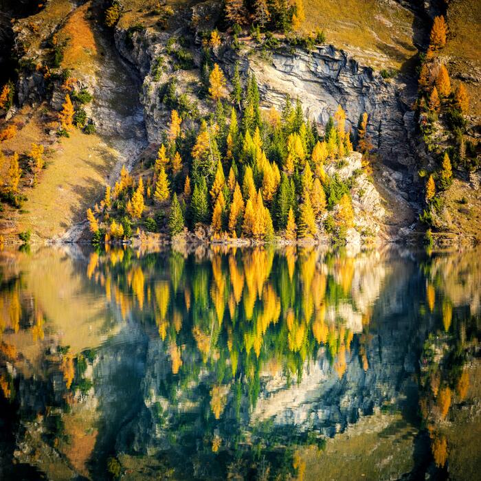 ������� ������ ����� ���-��-�����, ���������