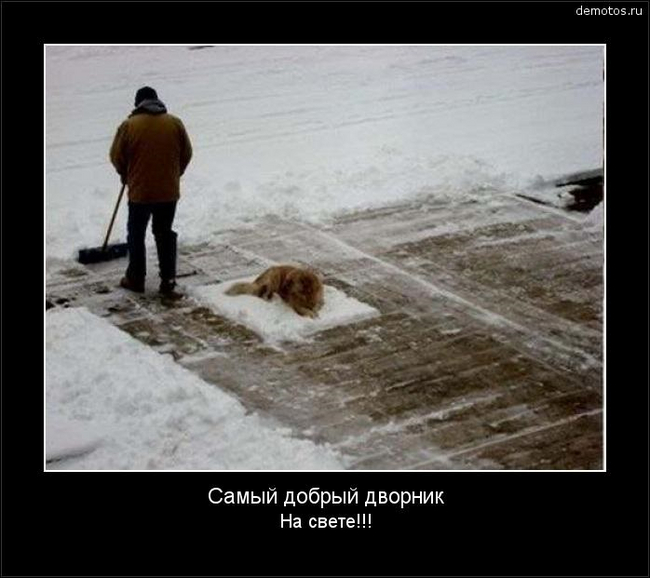 Не обидел | Пикабу