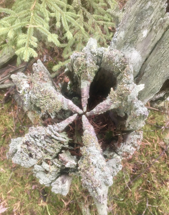 �������� � ����