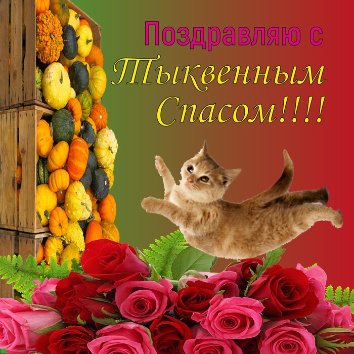 ���������� �������� ���� ������������� �� �������