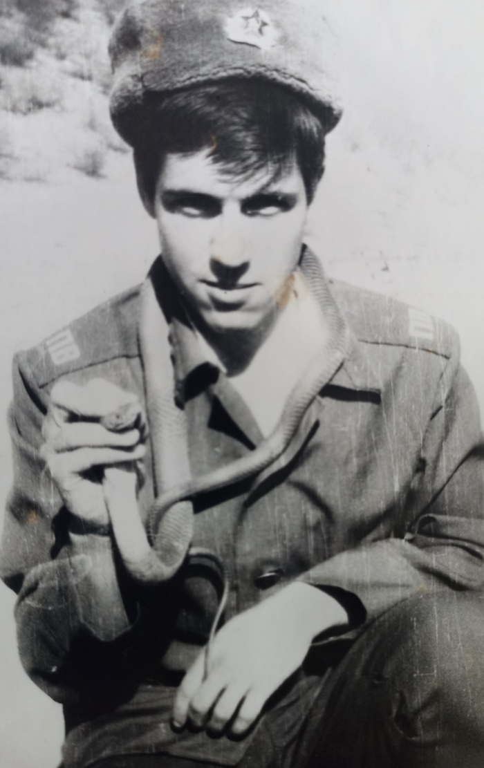 Змея (и) замполит