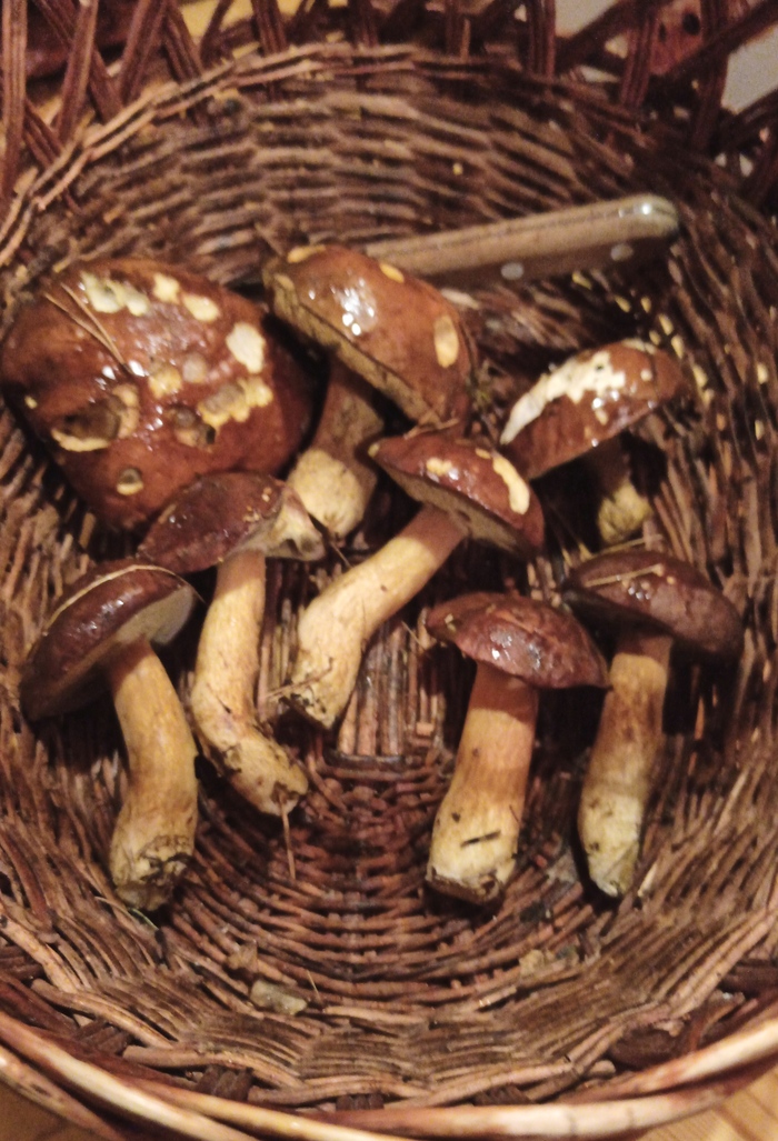 Подарочек. 31 октября