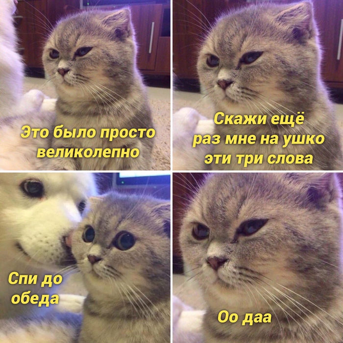  , ,   ,    