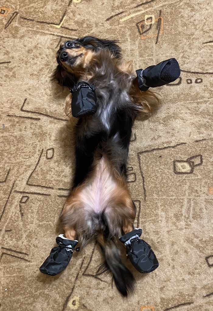 Зима близко