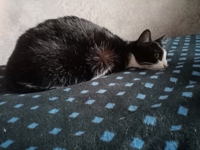 Грустит) | Пикабу