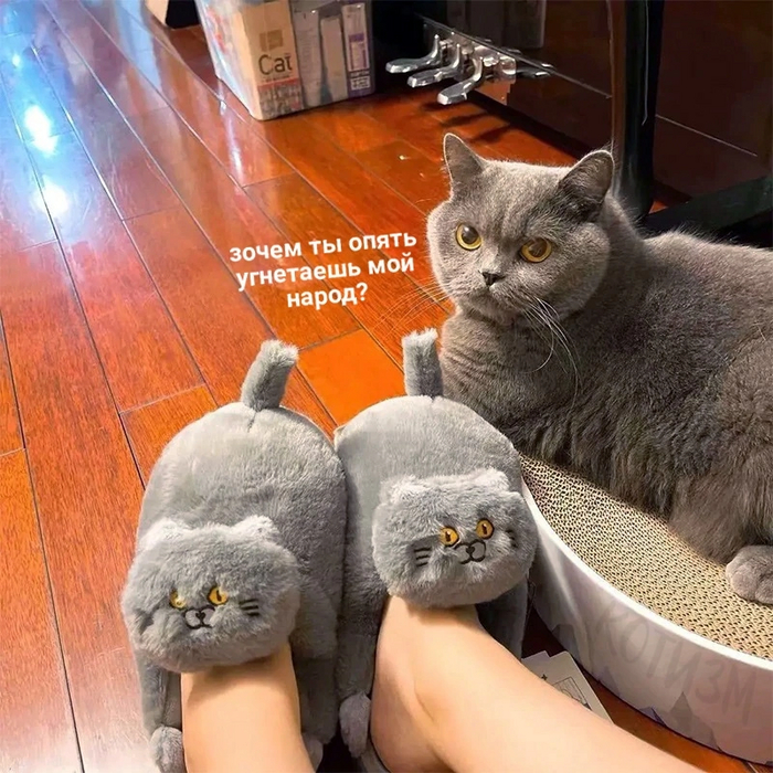 "   " , ,   
