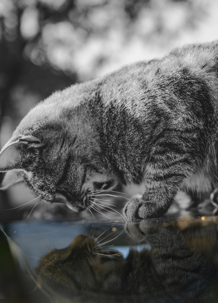 ����������