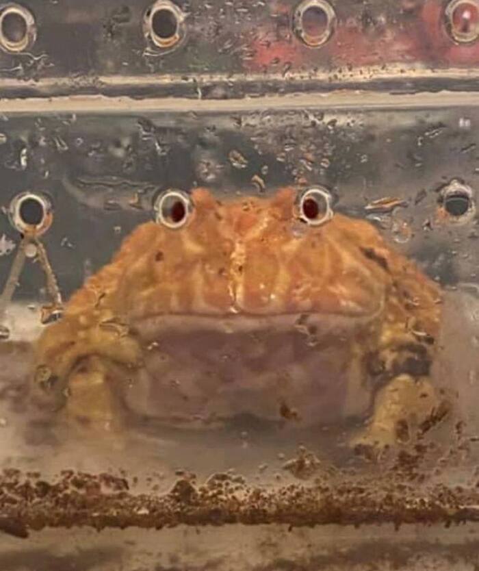 ������� ����� ��������� �� �����. ������� �����