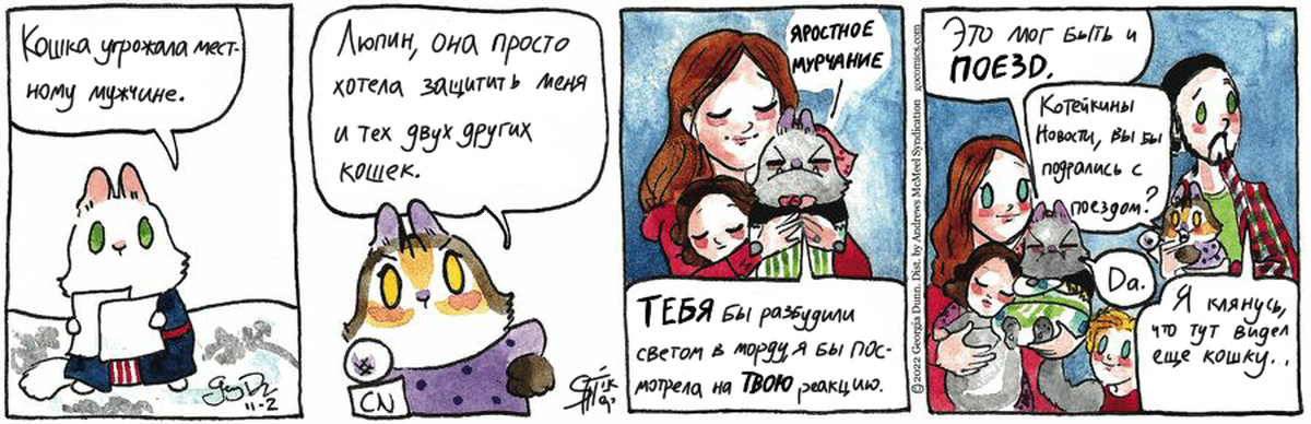 Cat перевод.