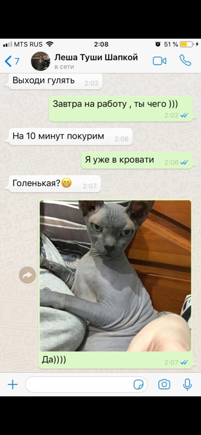 Cat: истории из жизни, советы, новости, юмор и картинки — Все посты,  страница 2 | Пикабу