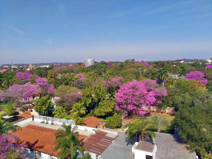 Парагвай. Так ли плохо живут в одной из беднейших стран Южной Америки? Туризм, Путешествия, Жизнь за границей, Южная Америка, Латинская Америка, Парагвай, Длиннопост Парагвай. Так ли плохо живут в одной из беднейших стран Южной Америки? Туризм, Путешествия, Жизнь за границей, Южная Америка, Латинская Америка, Парагвай, Длиннопост
