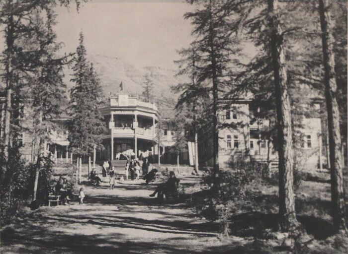 Как в 1940-е годы в Норильске лечили цингу Норильск, История СССР, Лама, Медицина, Цинга, Заполярье, Длиннопост Как в 1940-е годы в Норильске лечили цингу Норильск, История СССР, Лама, Медицина, Цинга, Заполярье, Длиннопост