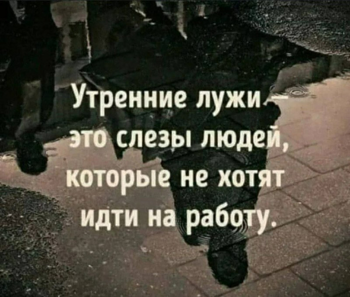     , , 