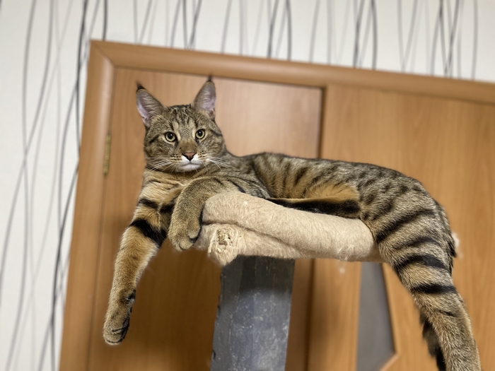 ������ ����� 2