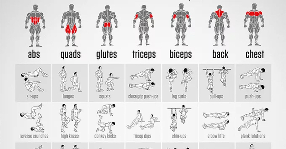 Развитие группы мышц. Комплекс упражнений для мышц. Комплекс упражнений на группы мышц. Упражнения на различные группы мышц. Тренировки на разные группы мышц.