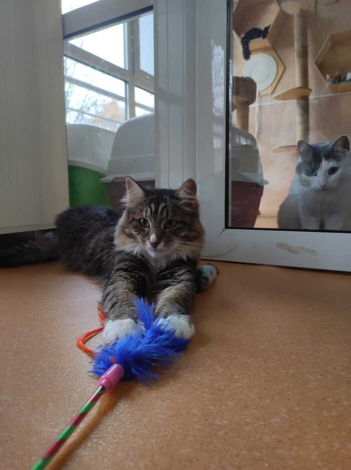 �������� � ������ ��������� �������� � ������� ����!