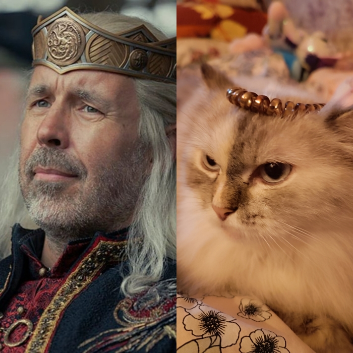 Настоящий Дракон