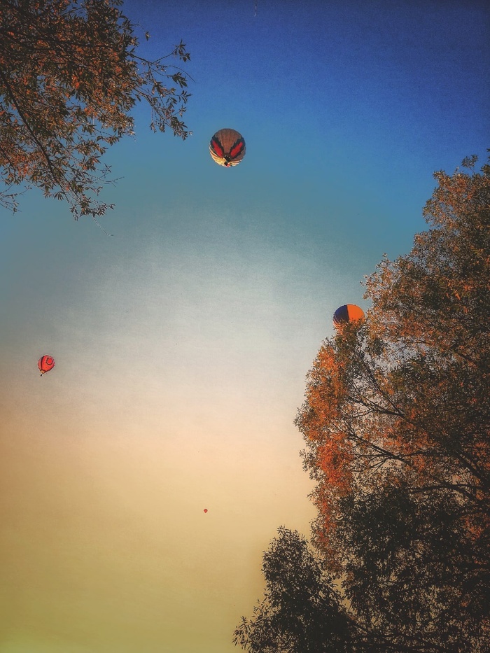   , ,  ,  , Nikon, 99 luftballons,  