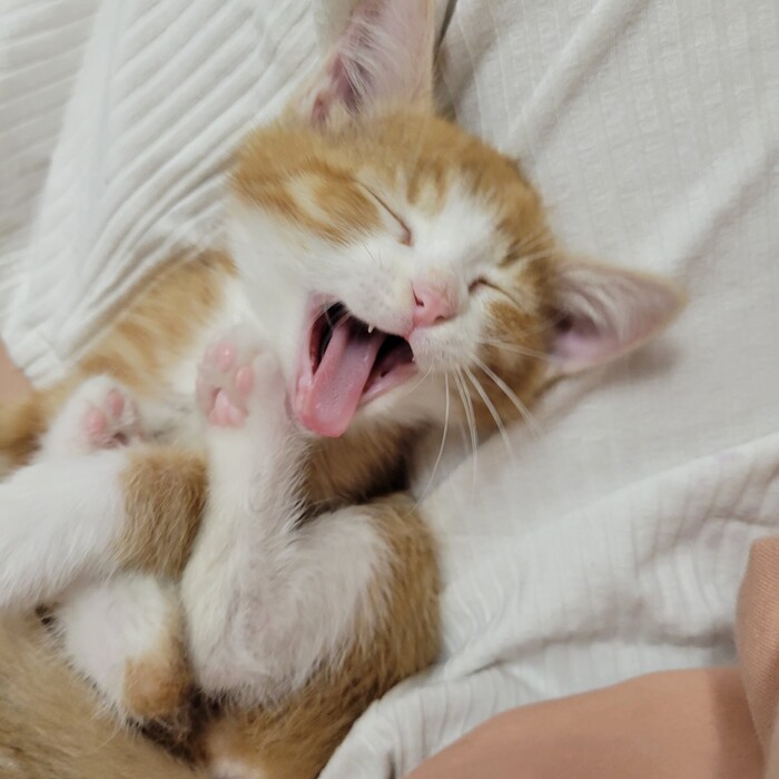 � ������� ������