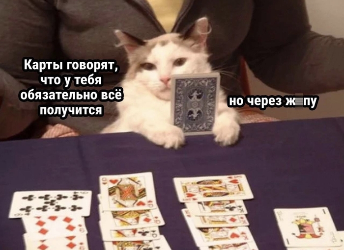      , , , -,   