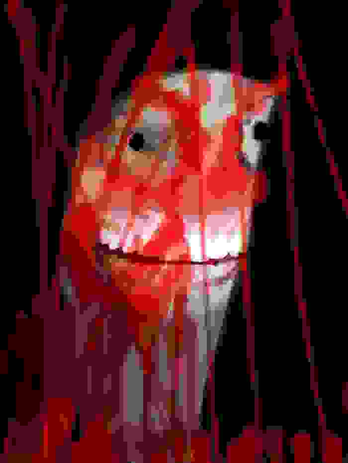 Nokon Creepy Art, , , 