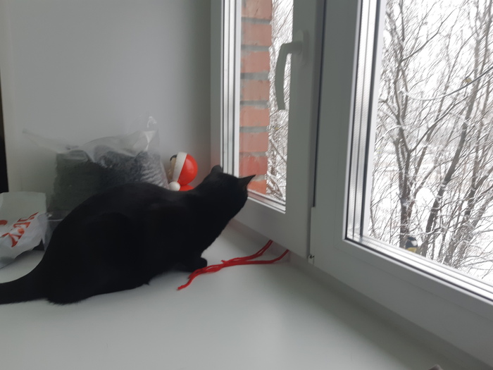 ������� �������