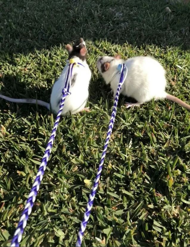 �� � �������