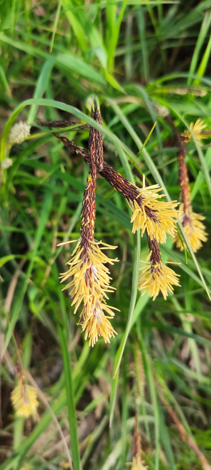 Весеннее фото