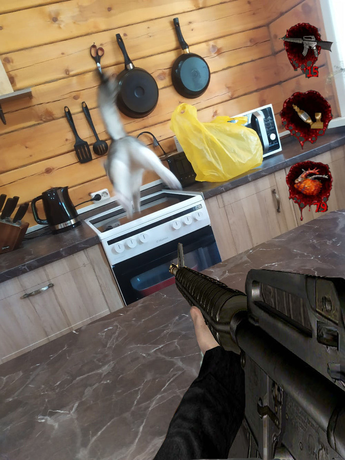      , Postal 2, 