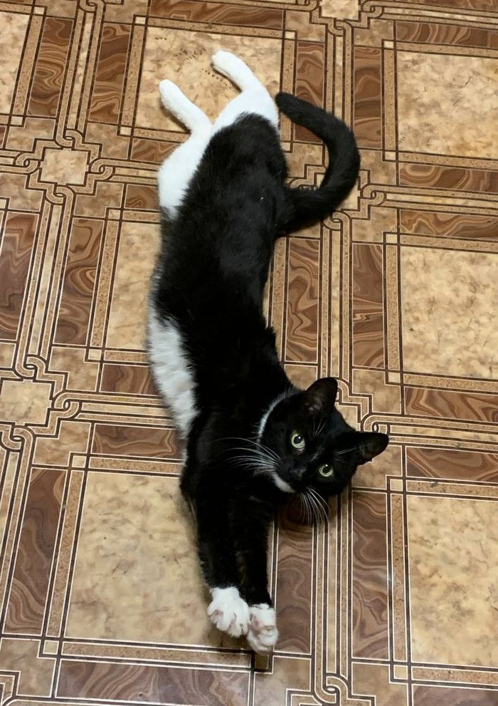 ����� �� ���� ������ �����