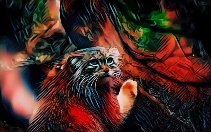 ���� ������� ������-����!