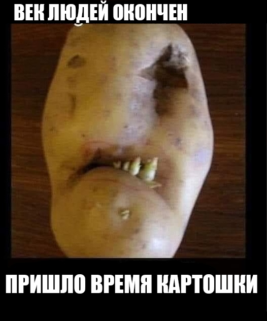 Кому вы служите?