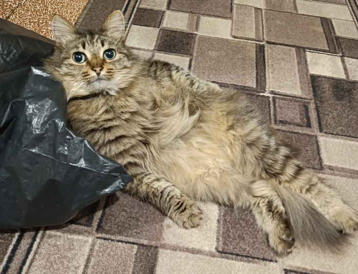 ����-�������