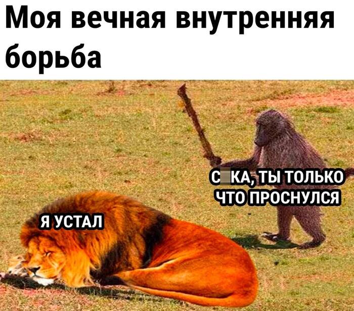     ,   , ,  ,  