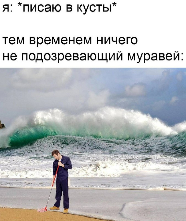 Муравьиный потоп