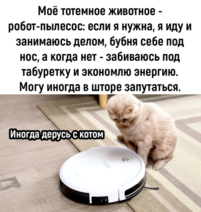 И кот побеждает