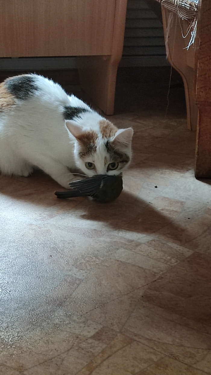 ���������