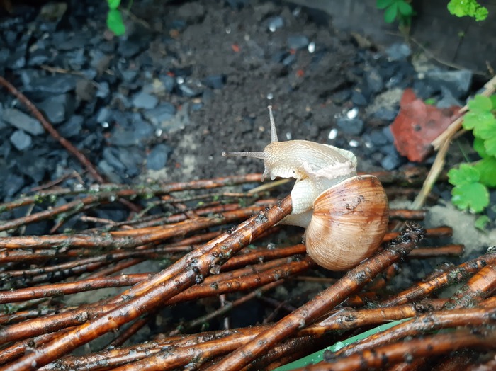 ������ � �������