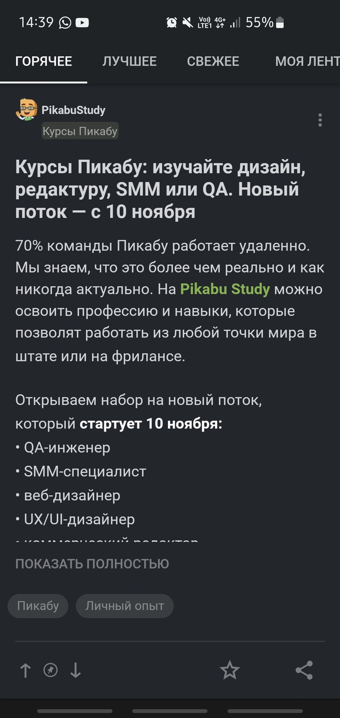         Geek Brains  100   , Geekbrains,  ,   ,   