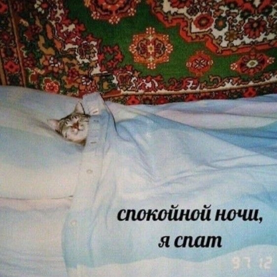 1668010390193613364.jpg