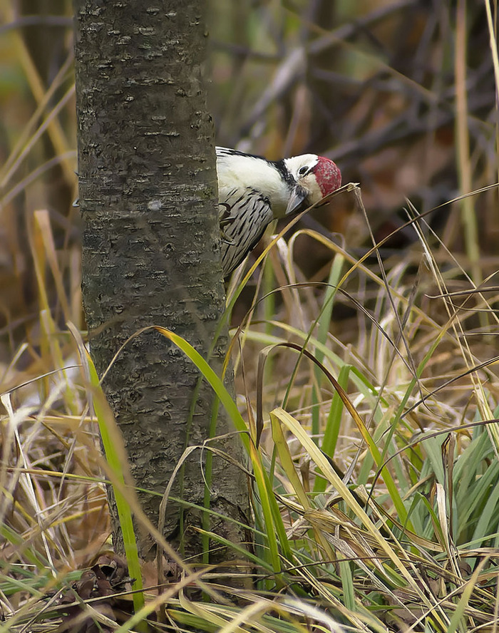 Кто вы такие-я вас не знаю