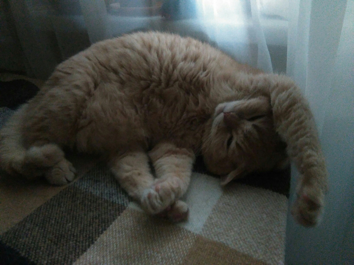    :)  ,  , 