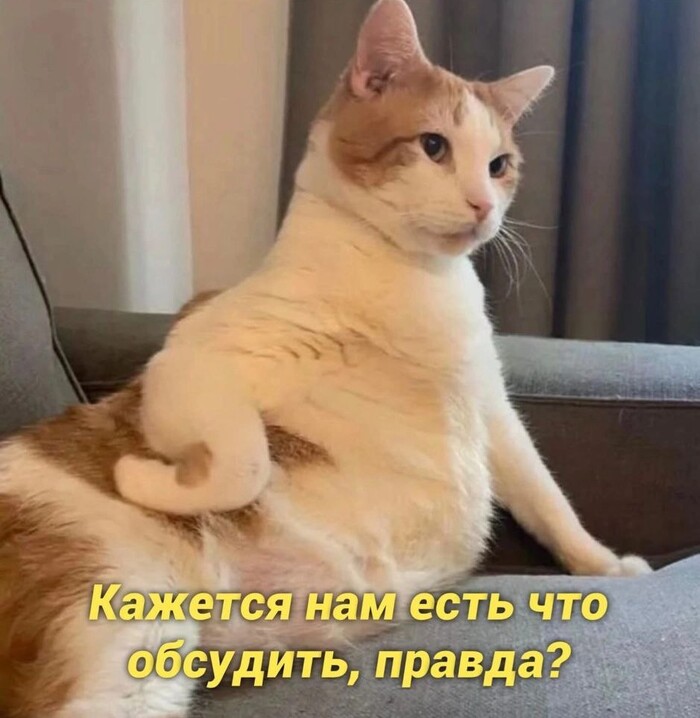           ,  ... , ,   ,  