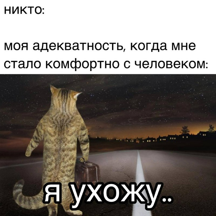     , , 
