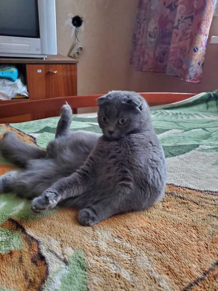     -  , , ,  ,   