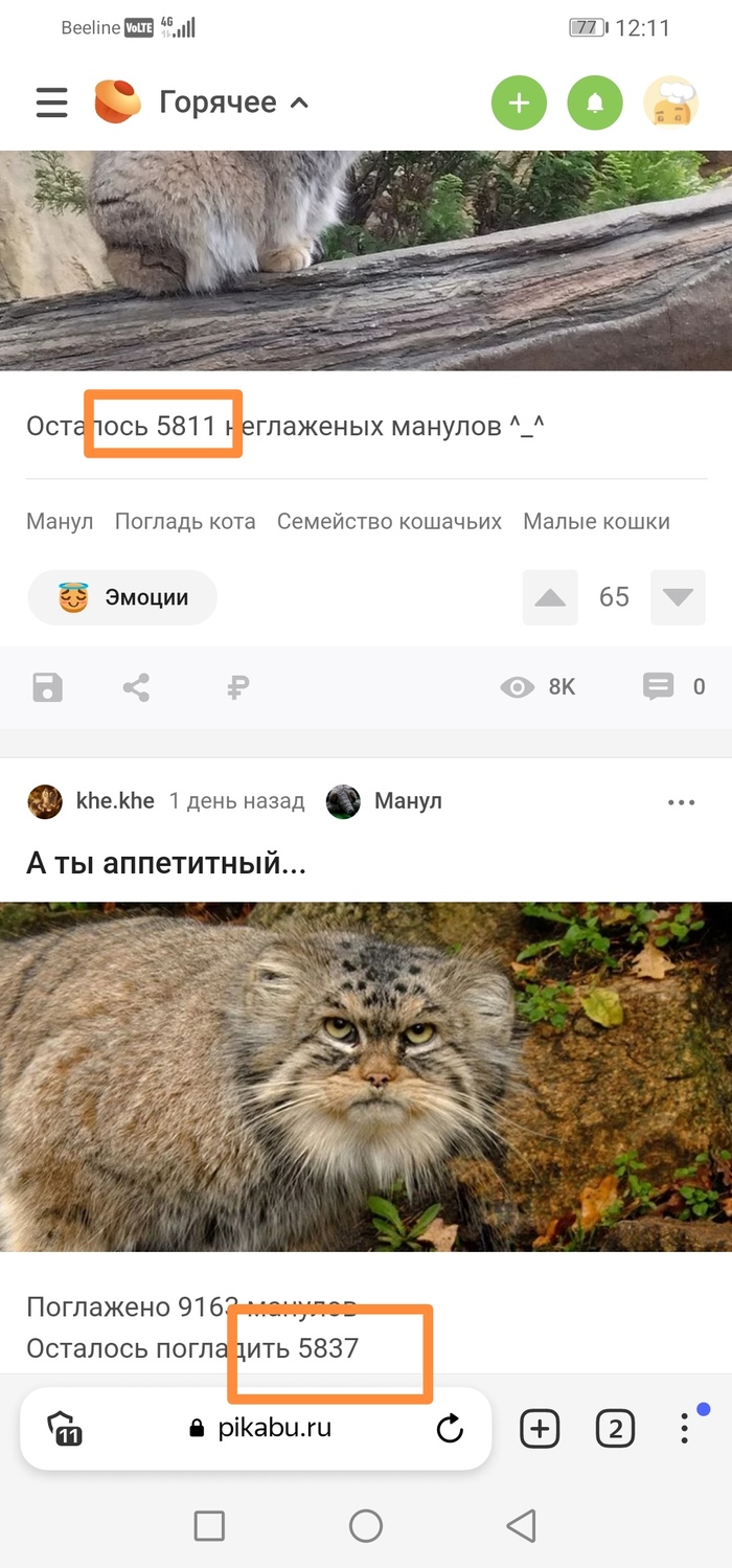   , , 