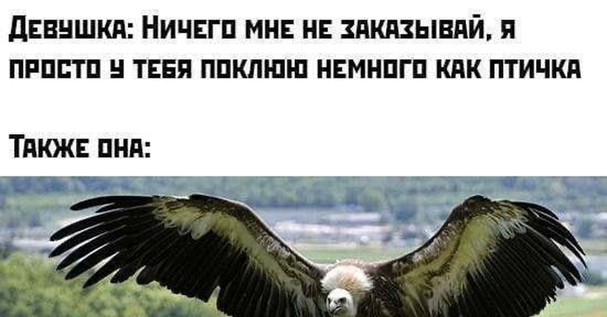 Немного значительно. Поклюю как птичка Мем. Я поклюю как птичка девушка. Мемы с птицами. Я У тебя поклюю как птичка Мем.